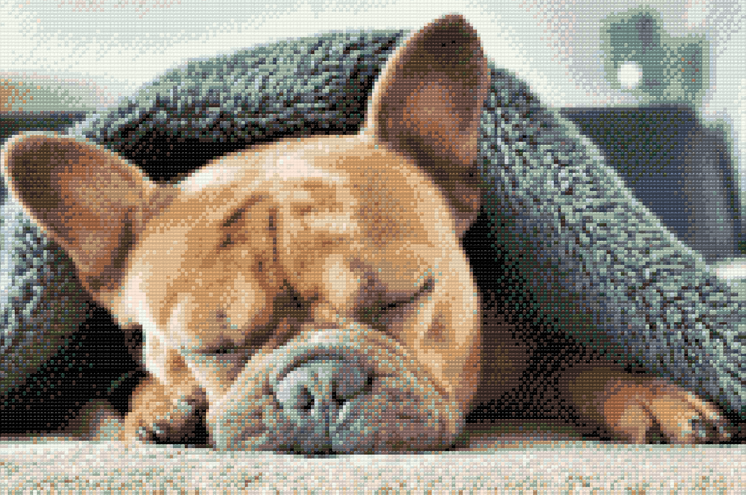Diamond Painting - Tired Bulldog