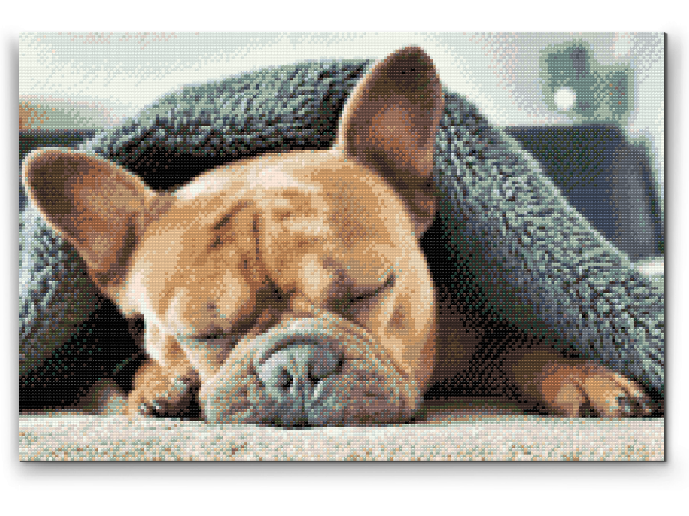 Diamantové malování - Tired Bulldog