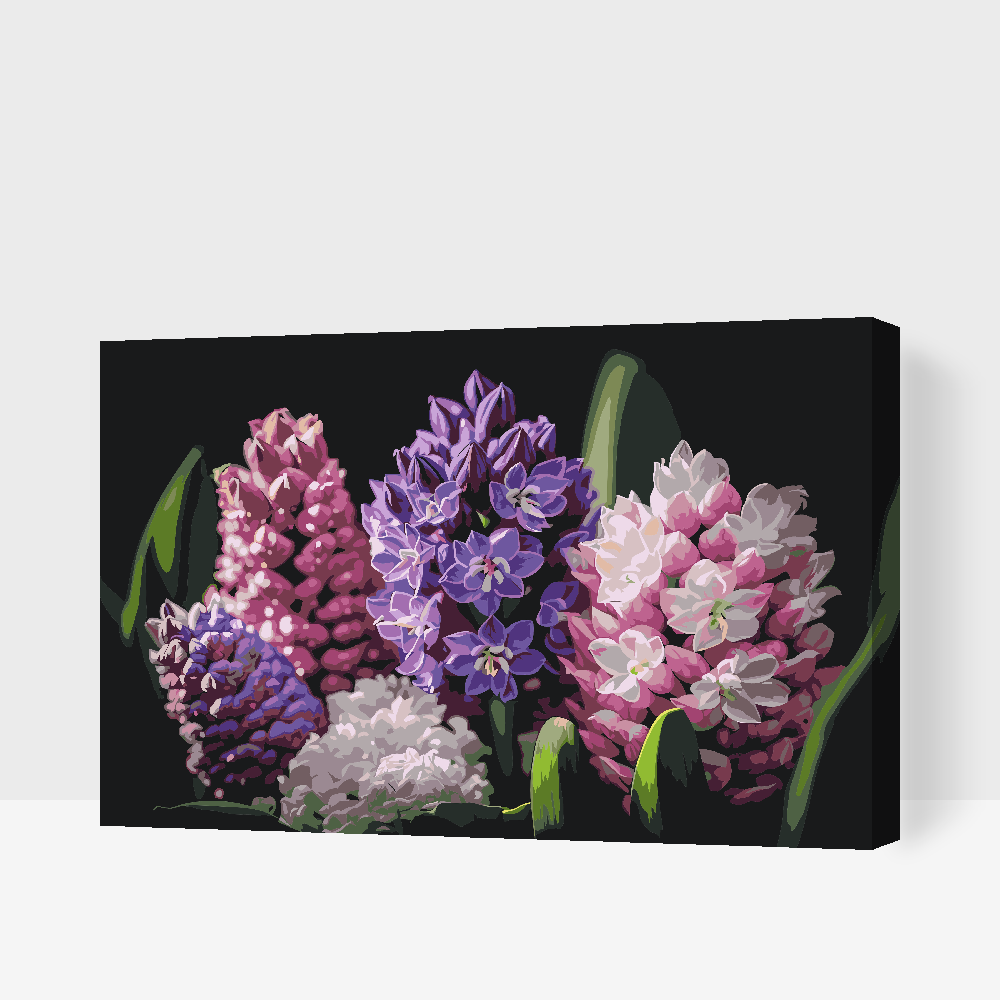 Malování podle čísel - Hyacinths