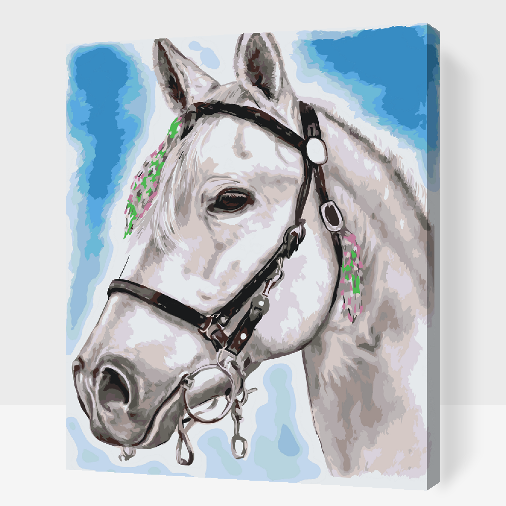 Malování podle čísel - White Horse