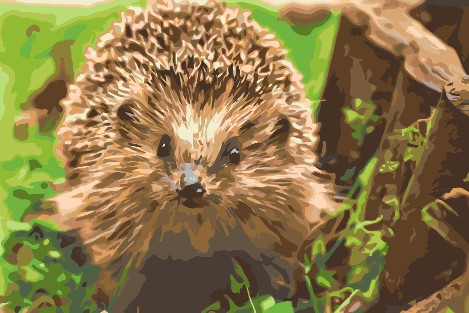 Paint by Number - Hedgehog Night Creature