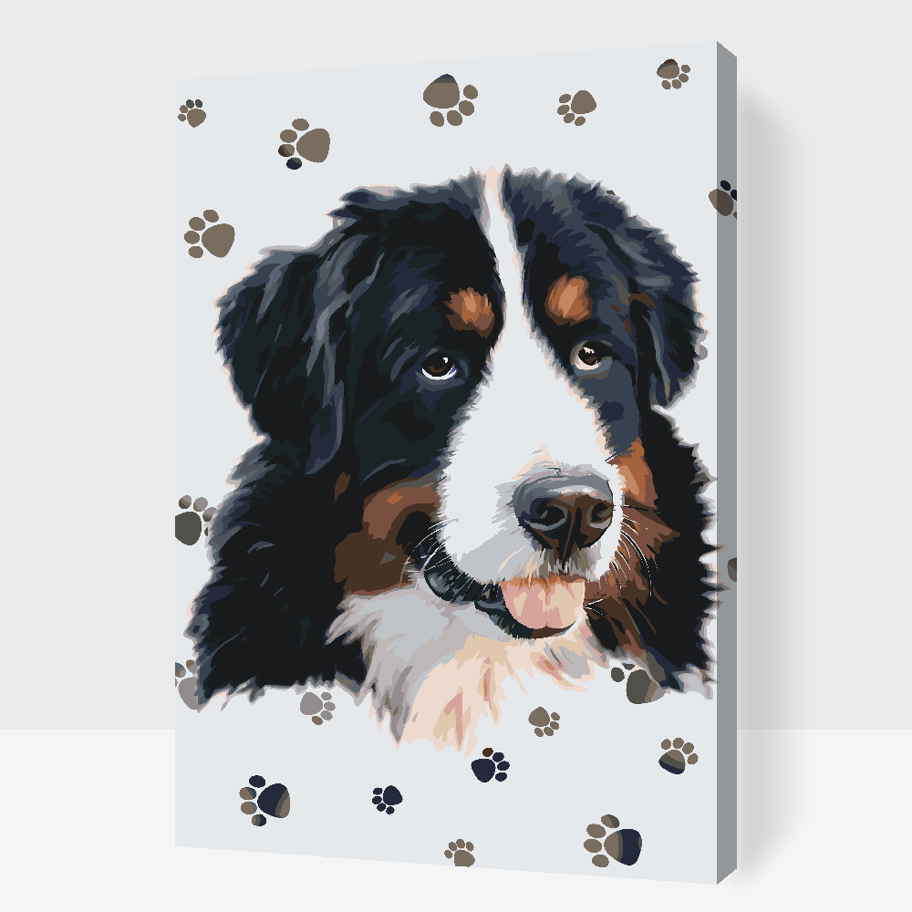 Malování podle čísel - Dog with Paws