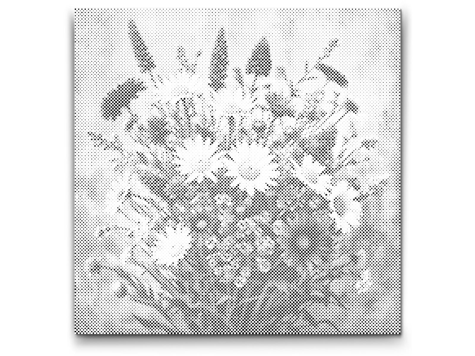 Dotting Points - A bouquet of meadow flowers