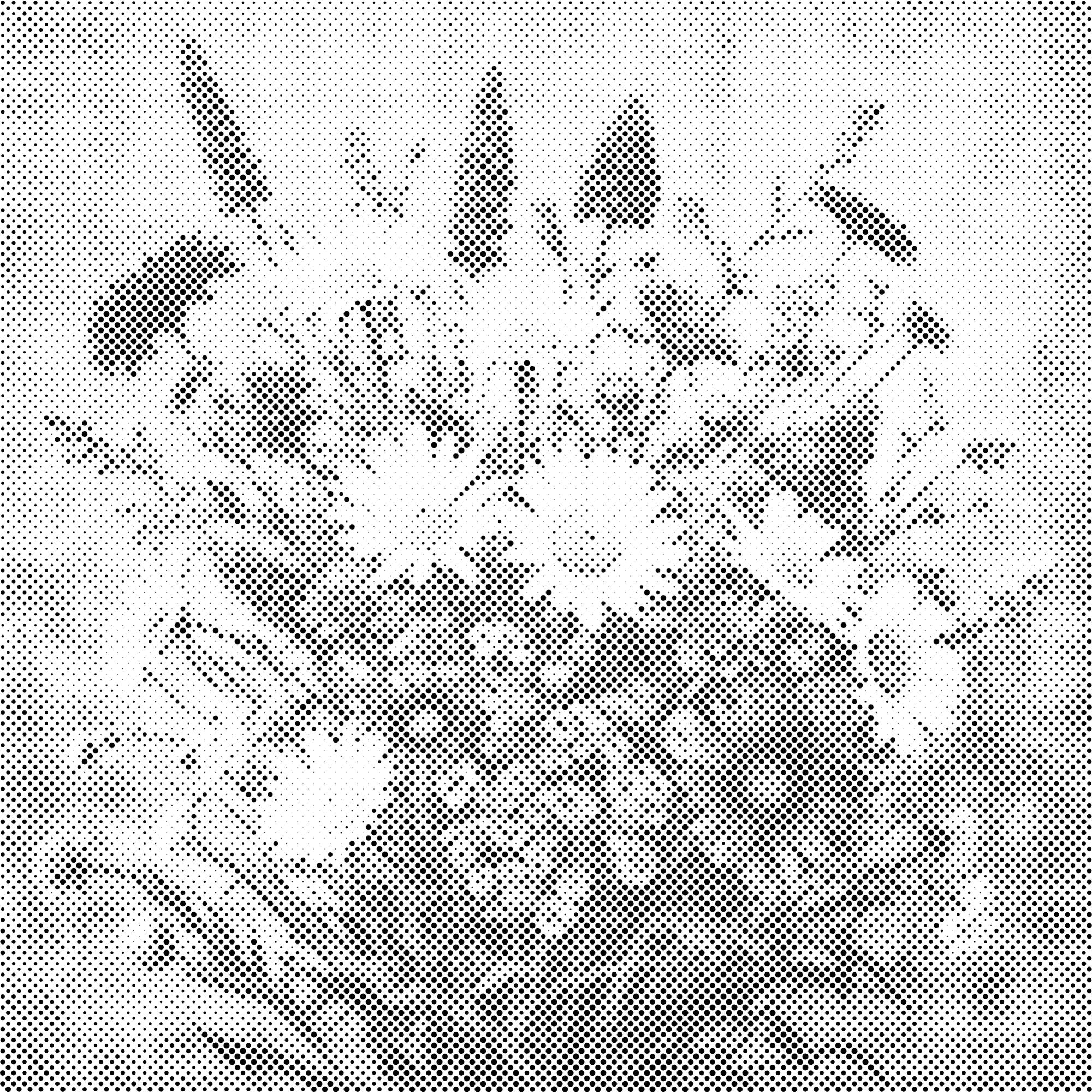 Dotting Points - A bouquet of meadow flowers
