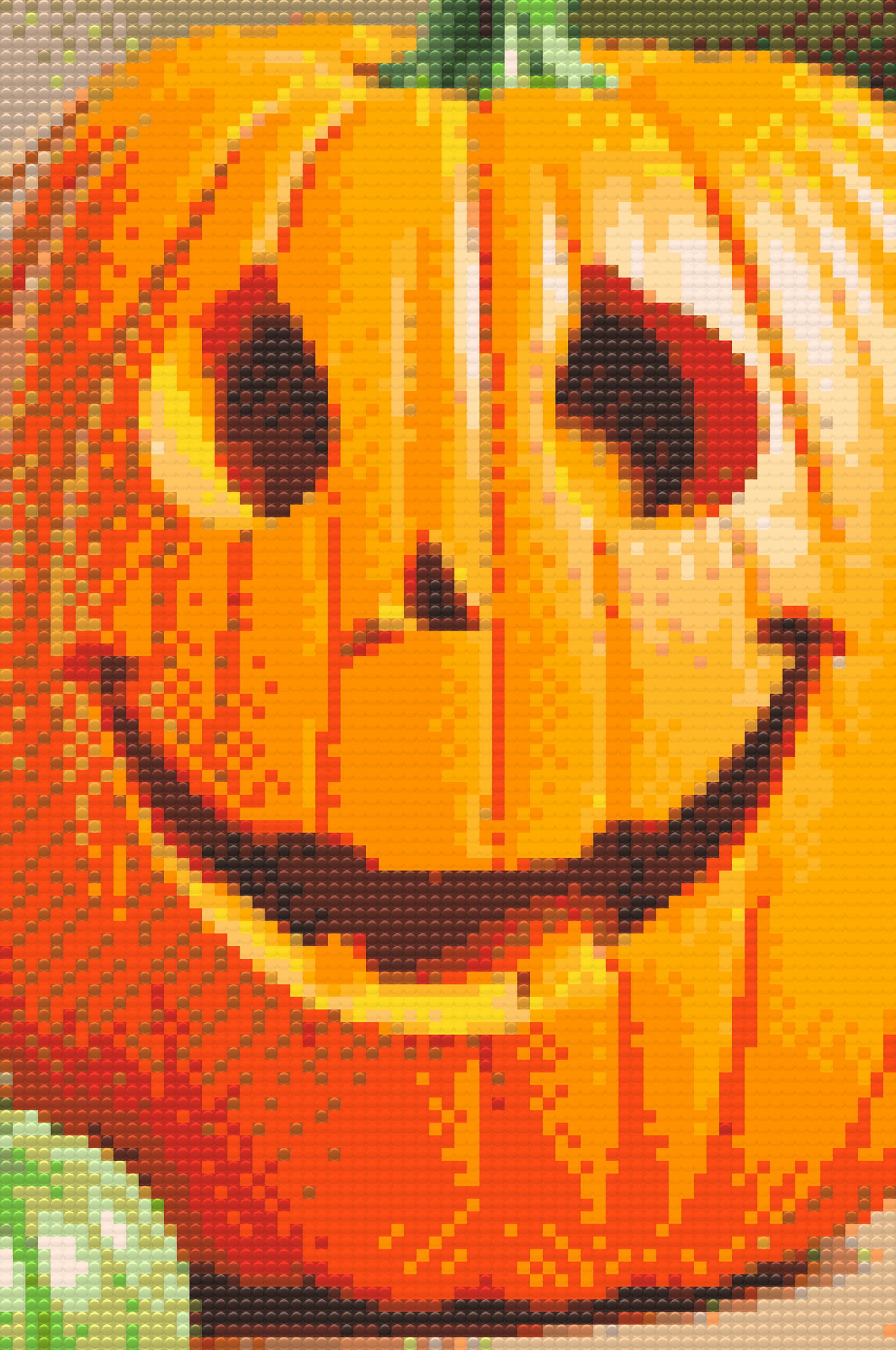 Diamond Paintings - Carved pumpkin