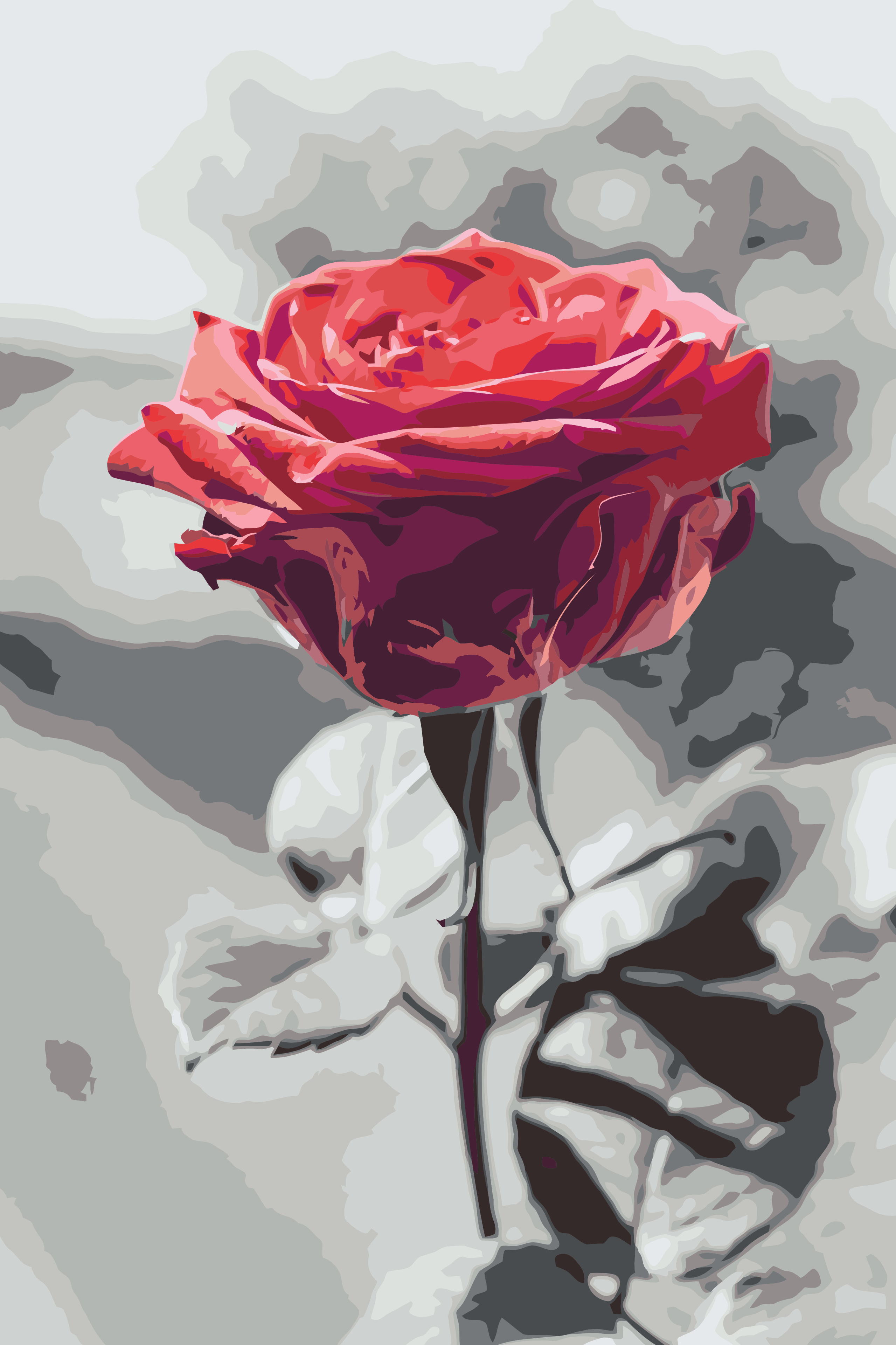 Paint by Number - Blooming Rose