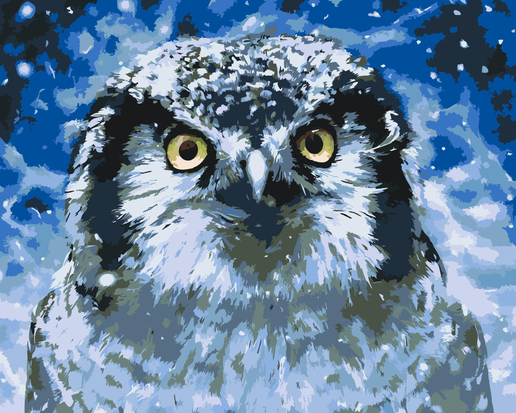 Paint by Number - Owl