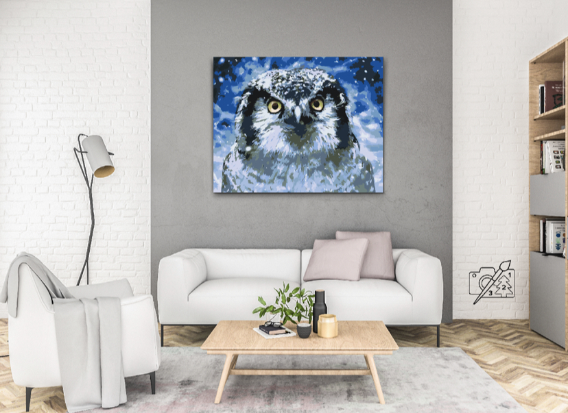 Paint by Number - Owl